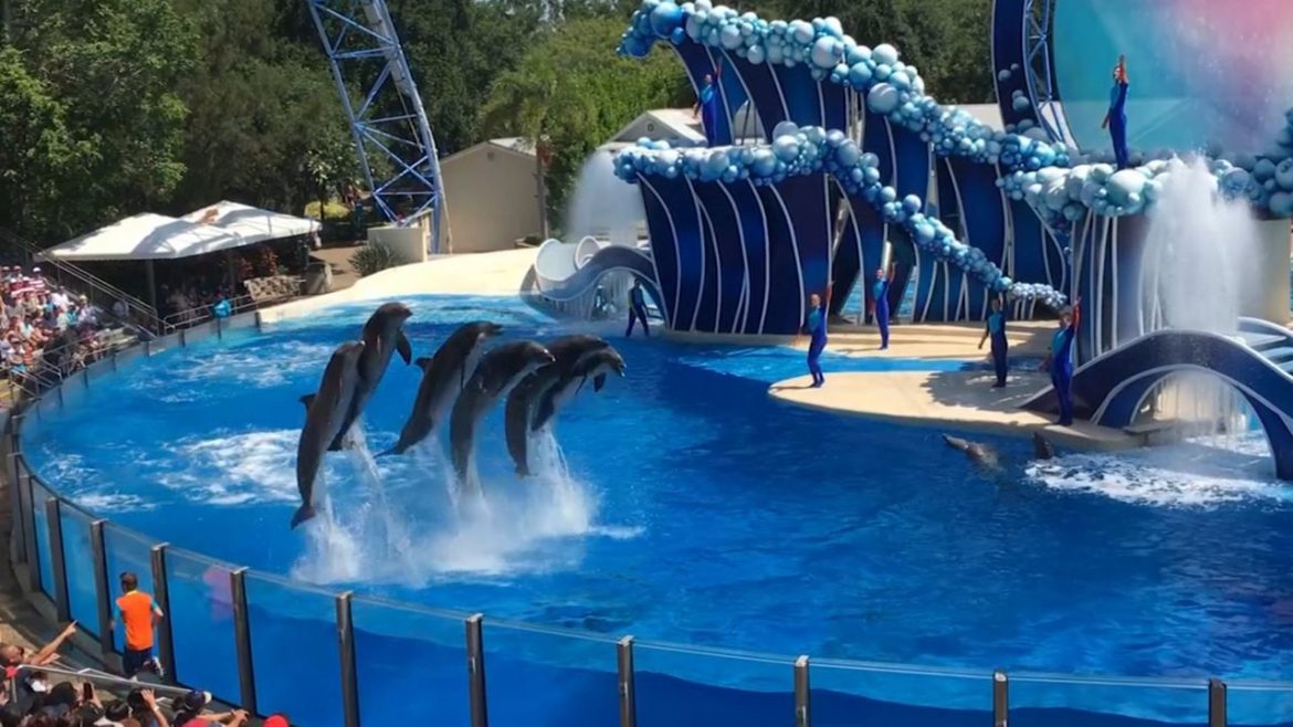 SeaWorld lança site sobre cuidados animais nos seus parques