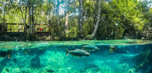 Temporada de Pesca deve aumentar em até 20% o fluxo turístico em Mato Grosso