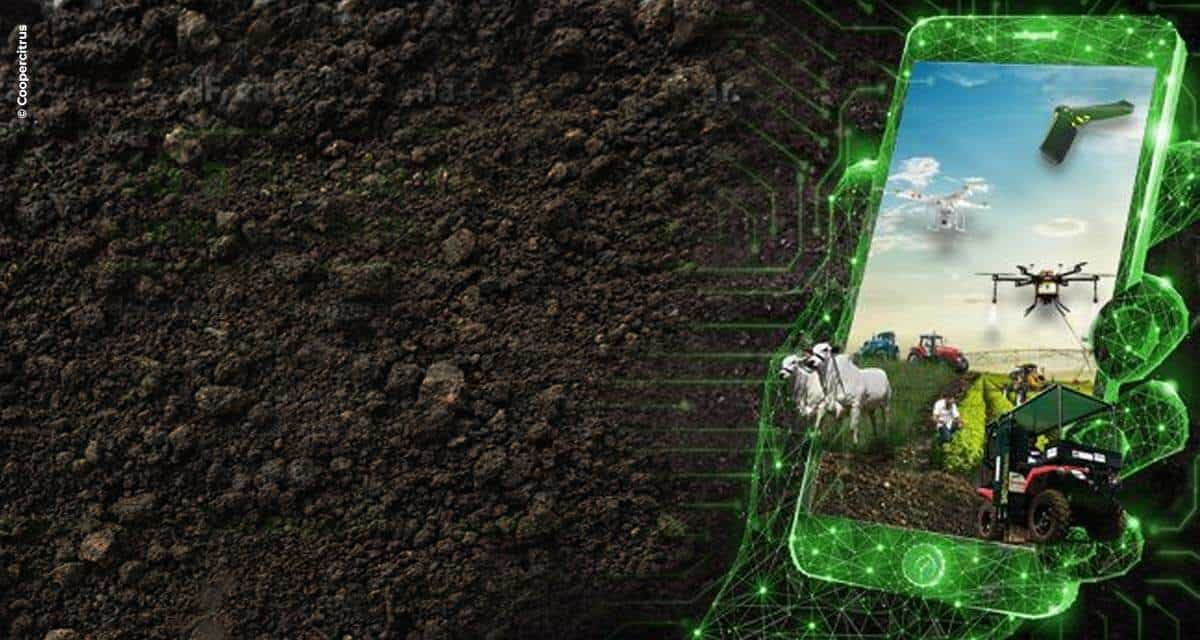 Setor agropecuário aposta na tecnologia para crescer ainda mais em 2021