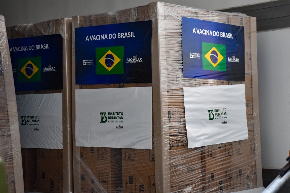 SP Entrega Mais 1 Milhão De Vacinas Do Butantan Ao Brasil