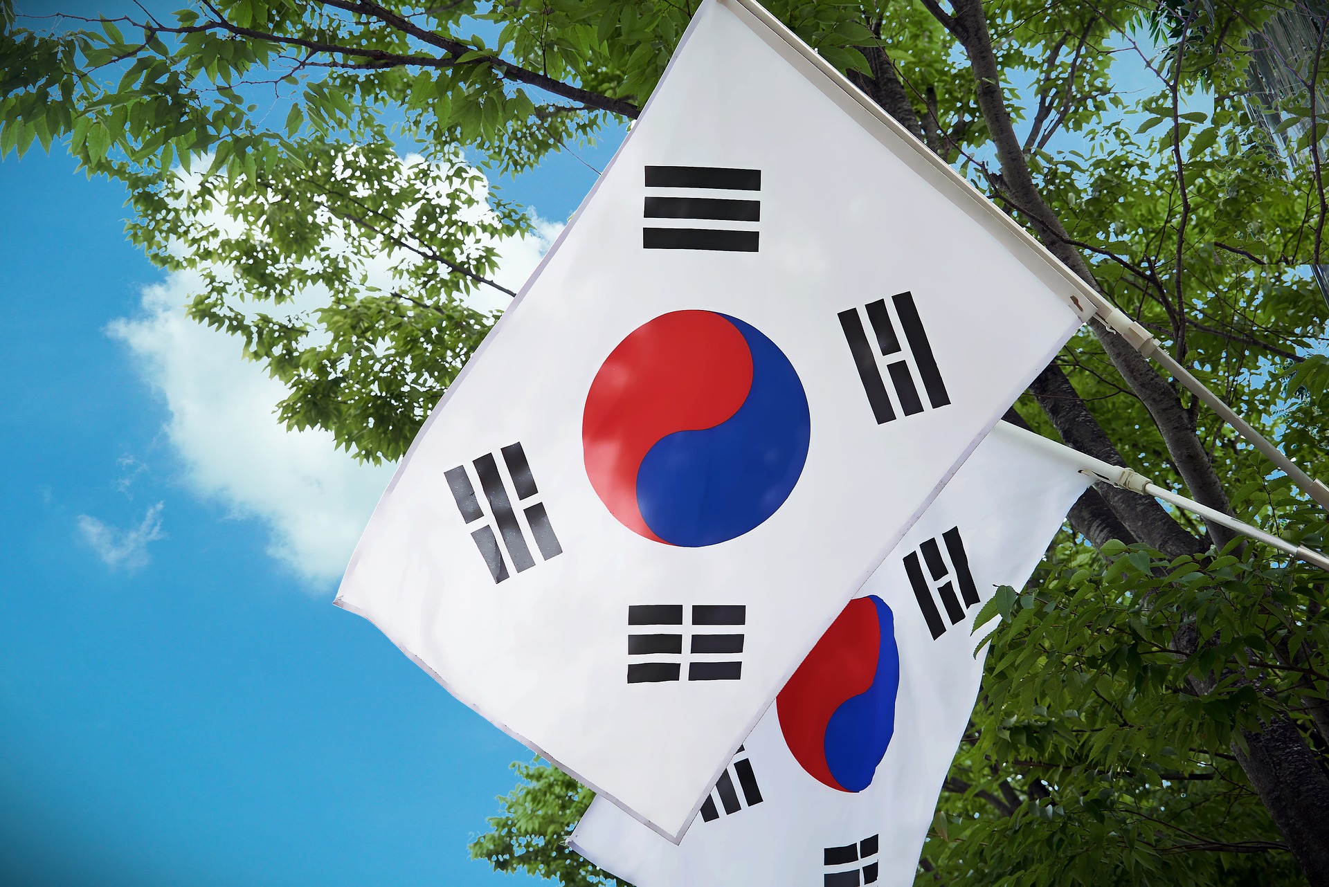 Cúpula Global Para Examinar Formas Para Trazer A Paz Para A Península Coreana.