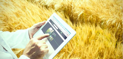 AGRISHOW MF Rural destaca crescimento do marketplace no agronegócio