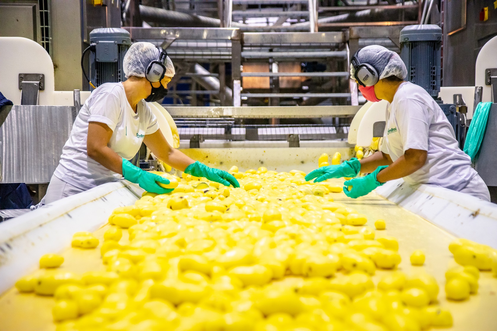 Segurança dos Alimentos: Bem Brasil é certificada por norma internacional que garante qualidade aos seus produtos do campo à mesa