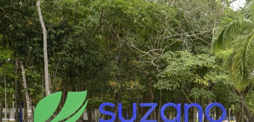 Suzano lança venture capital com US$ 70 milhões em recursos para impulsionar startups