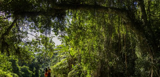5 motivos para viajar para o Litoral Norte de São Paulo neste outono