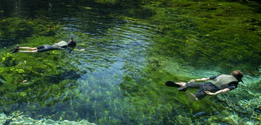 Diversão em família: conheça 6 atrações de Bonito (MS) para visitar com crianças