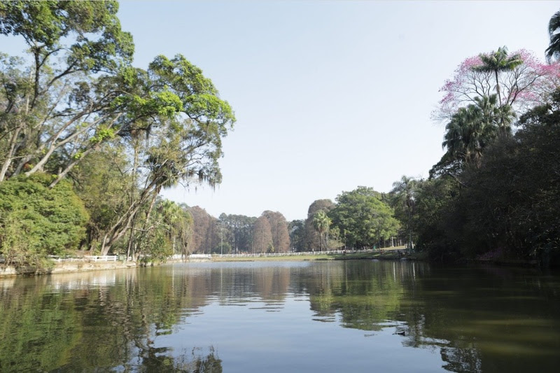 Parques Horto Florestal e Cantareira com visitas guiadas GRATUITAS para comemorar o Dia Mundial da Água