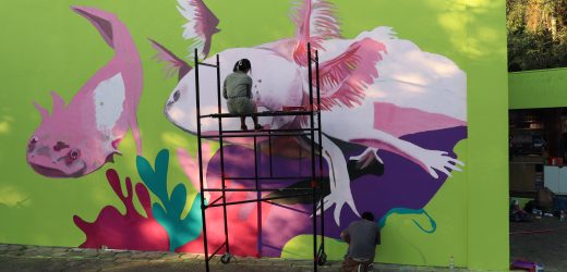 Zoológico de São Paulo ganha pinturas da artista Carol Wan