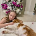 Sofia, influenciadora da sustentabilidade e da causa animal, aponta ações urgentes para 2026