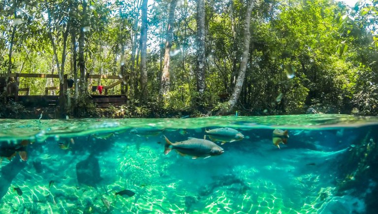 Temporada de Pesca deve aumentar em até 20% o fluxo turístico em Mato Grosso