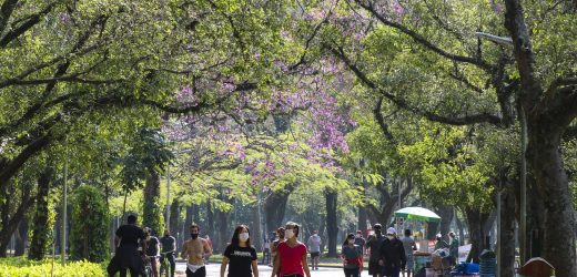 Dia da Felicidade: apesar da pandemia, é possível celebrar