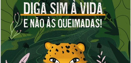 Lançada Cartilha Para Conscientizar Alunos Da Amazônia Sobre Queimadas