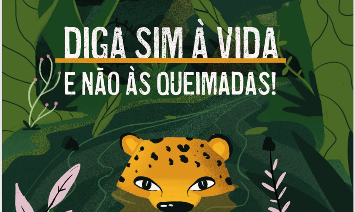 Lançada Cartilha Para Conscientizar Alunos Da Amazônia Sobre Queimadas