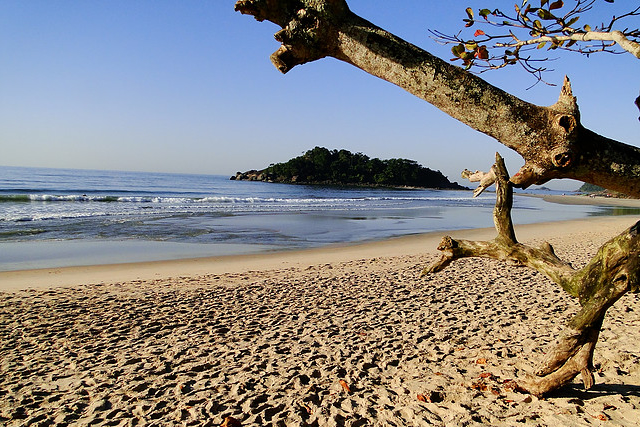 Praias livres e comércio aberto animam Guarujá