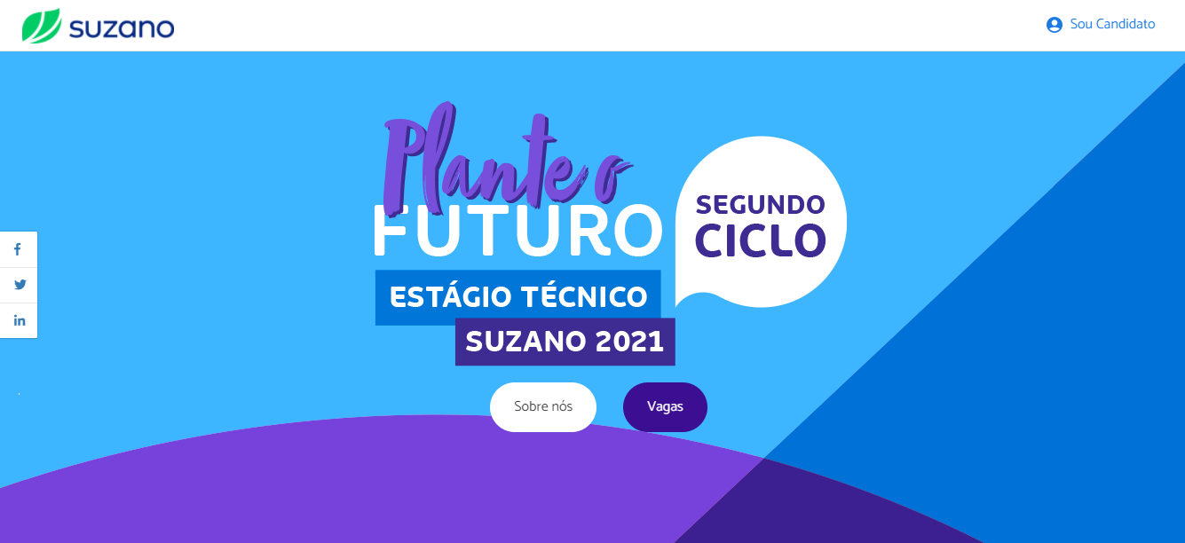 Suzano abre 46 vagas em Programa de Estágio Técnico