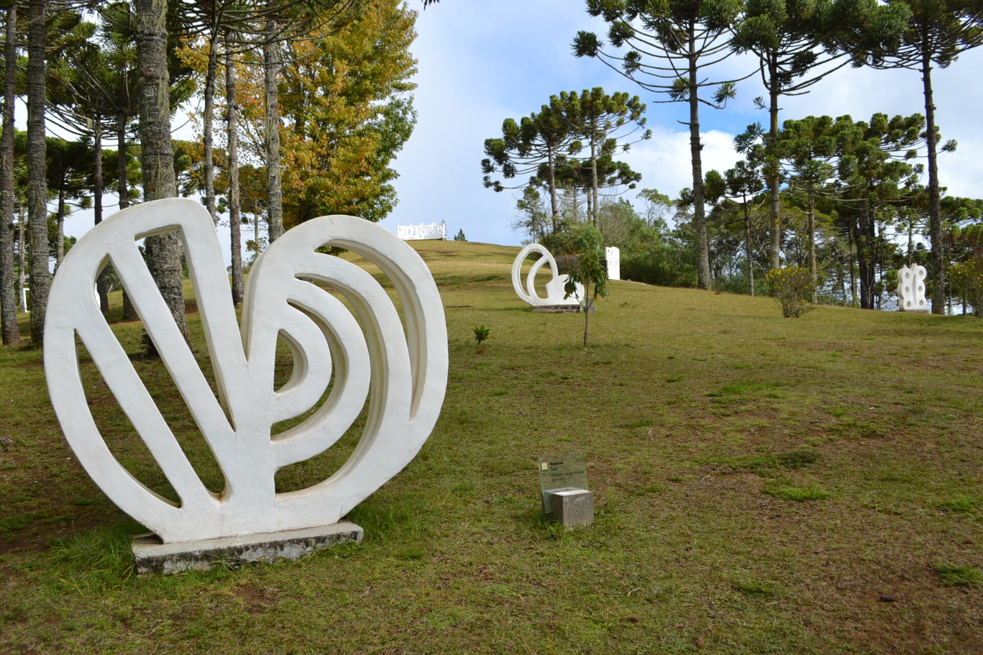 Museu Felícia Leirner E Auditório Claudio Santoro Promovem Atividades De Férias