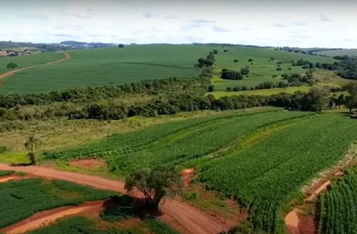 Agro Paulista Cresce 11,9% Nos Sete Primeiros Meses De 2021