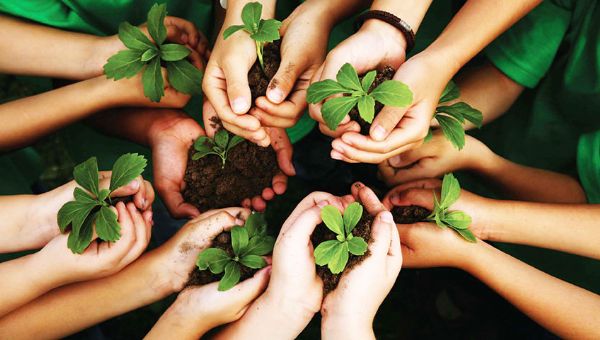 Ecofuturo amplia programa de educação ambiental