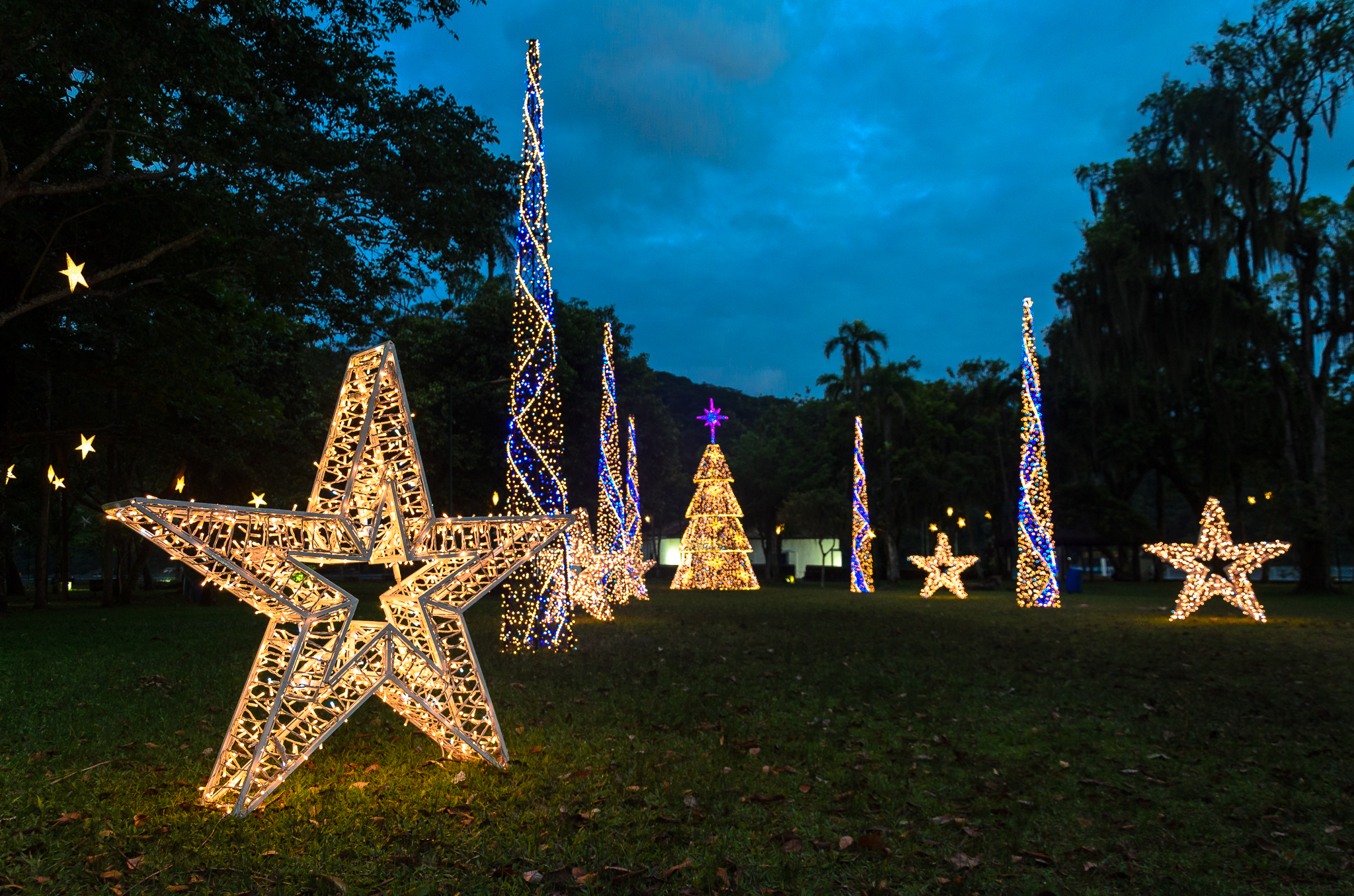 Bertioga recebe iluminação especial para a chegada do natal