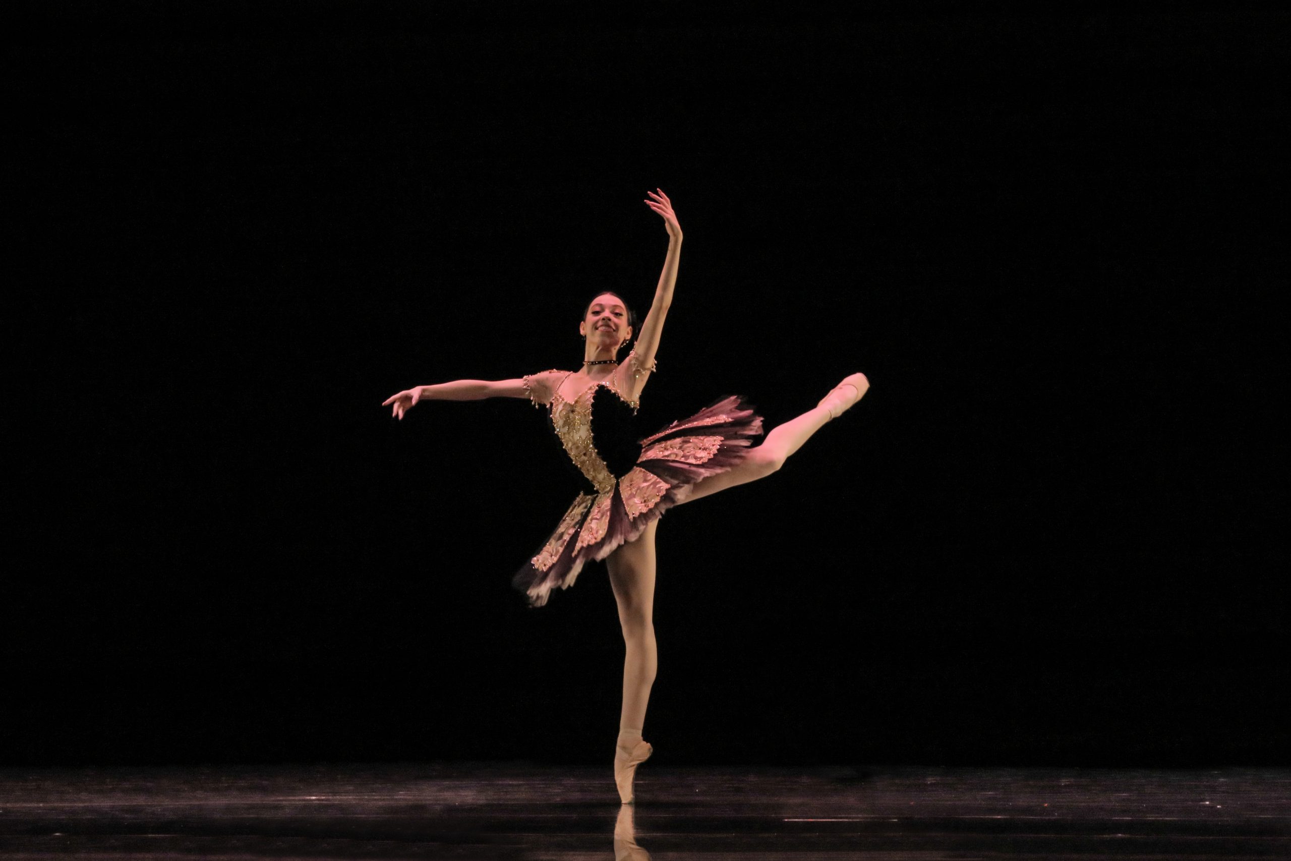 SÃO PAULO COMPANHIA DE DANÇA CELEBRA 14 ANOS COM ATIVIDADES VIRTUAIS