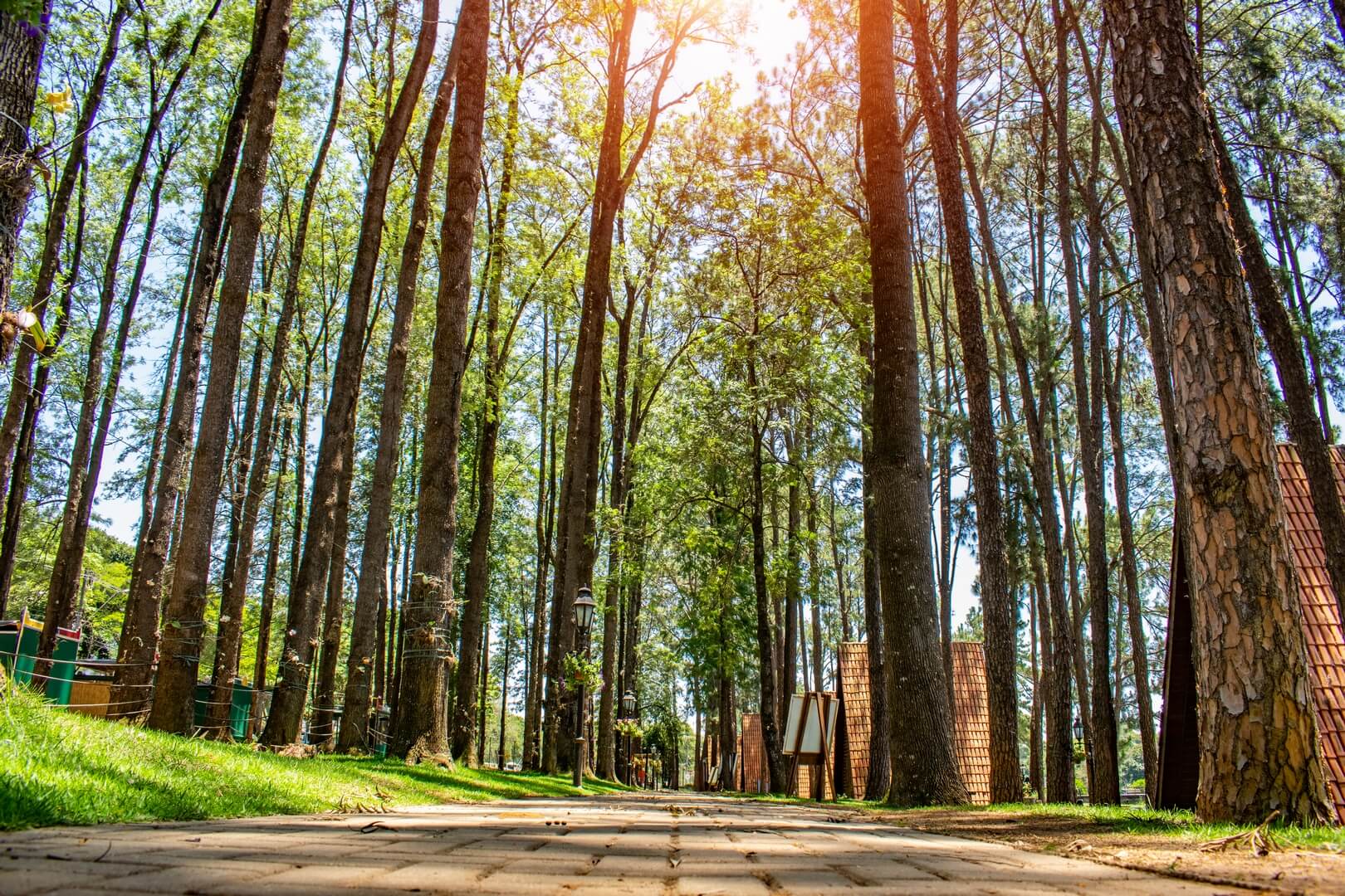 Circuito Das Águas Paulista Encanta Com Fauna Diversificada