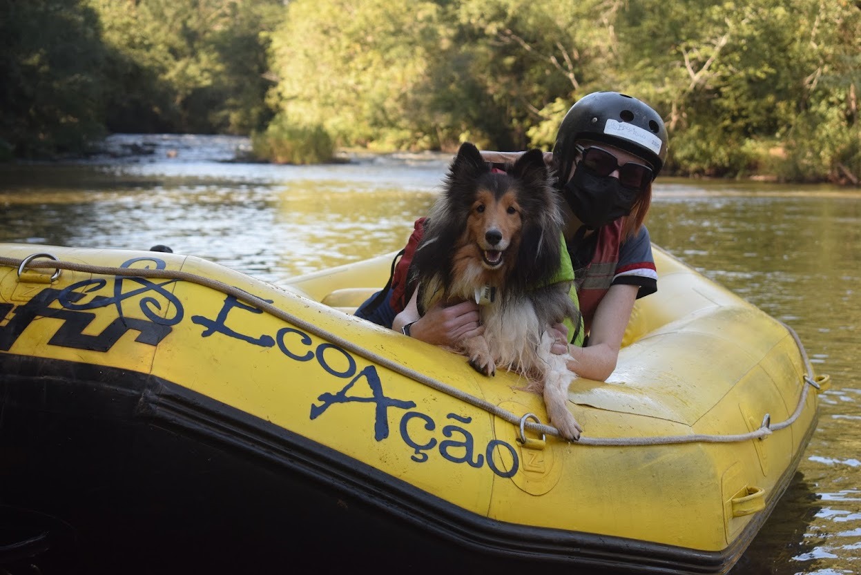 Guia Pet Friendly: bichinhos bem-vindos em 56 cidades