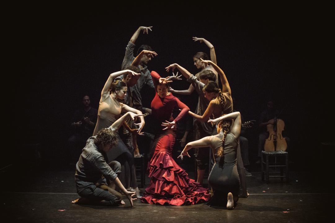 Brasil recebe Congresso Mundial de Flamenco