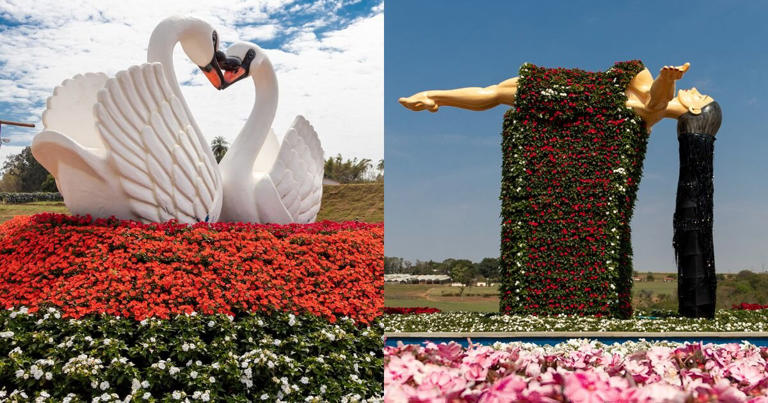 Maior exposição da América Latina de flores e plantas ornamentais de Holambra é ótima opção de passeio em família