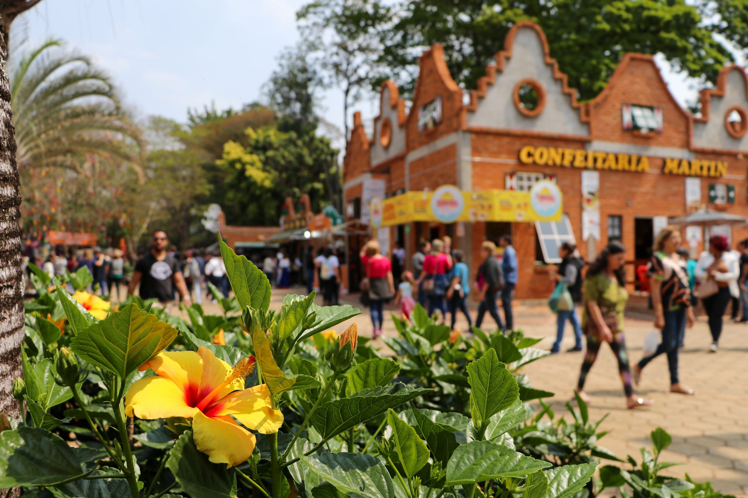 Expoflora supera expectativa e recebe a visita de cerca de 260 mil visitantes