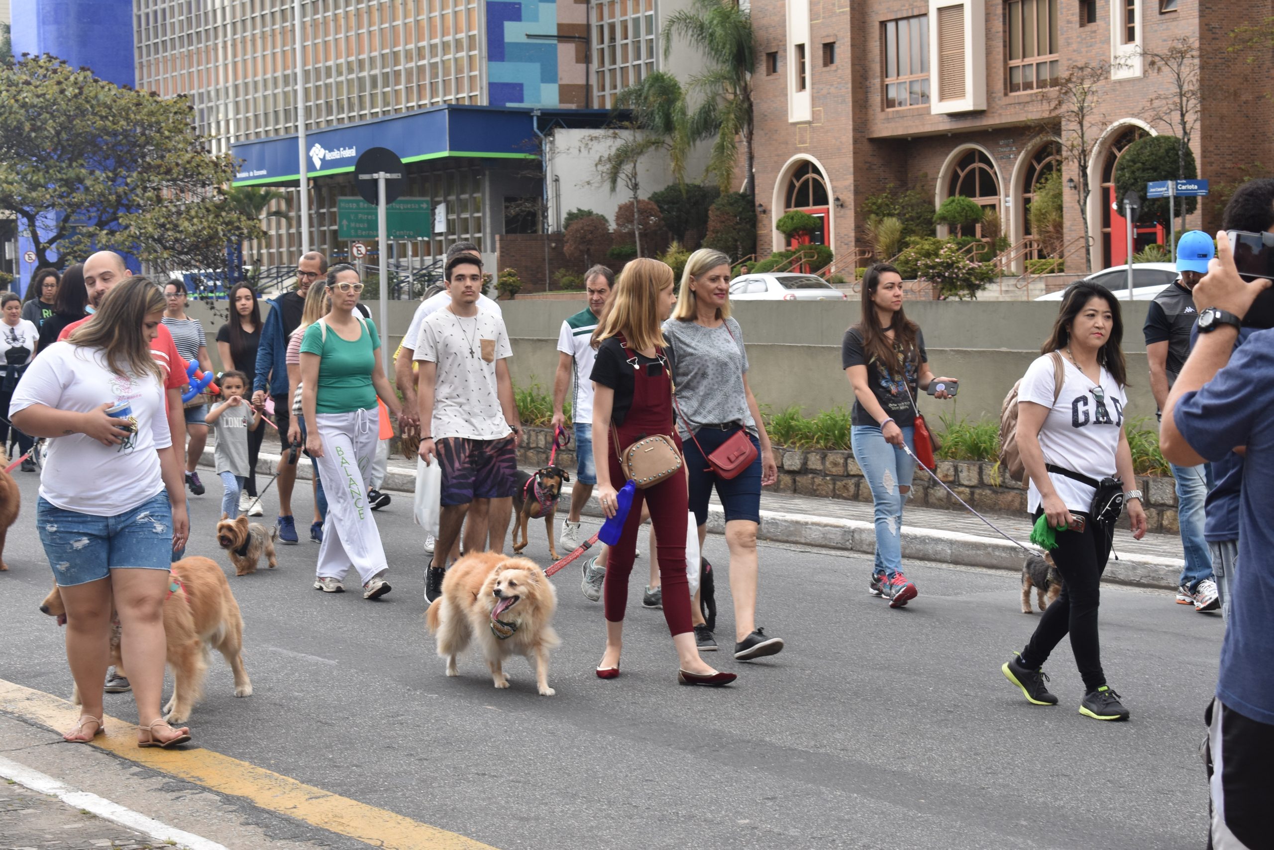 ACISA e Singular promovem Cãominhada em Santo André