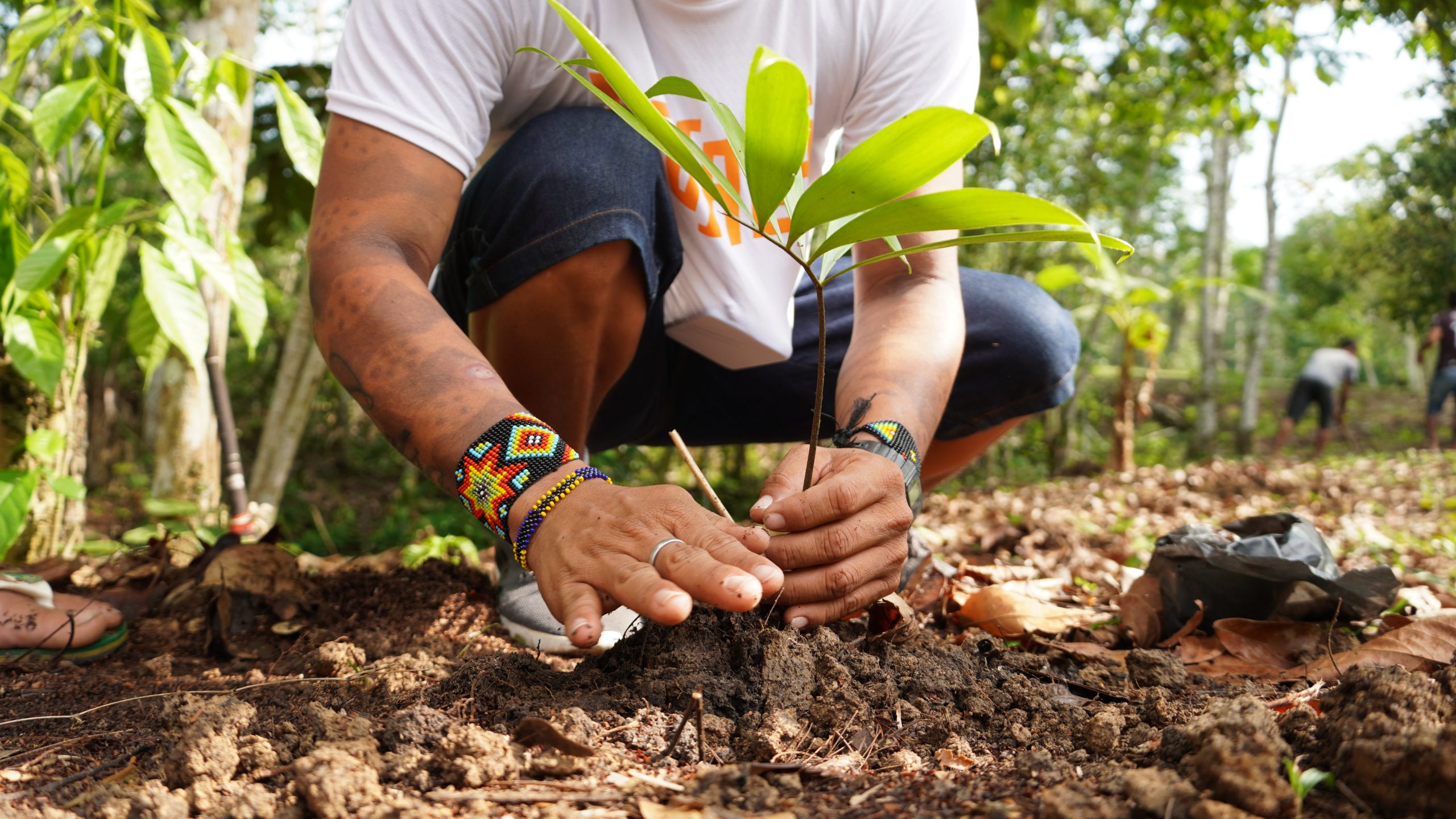 Como o Turismo Sustentável está transformando a vida de comunidades tradicionais brasileiras