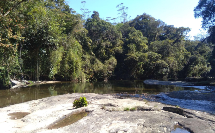 Parque das Neblinas será campo de estudo sobre o impacto da natureza em nosso bem-estar