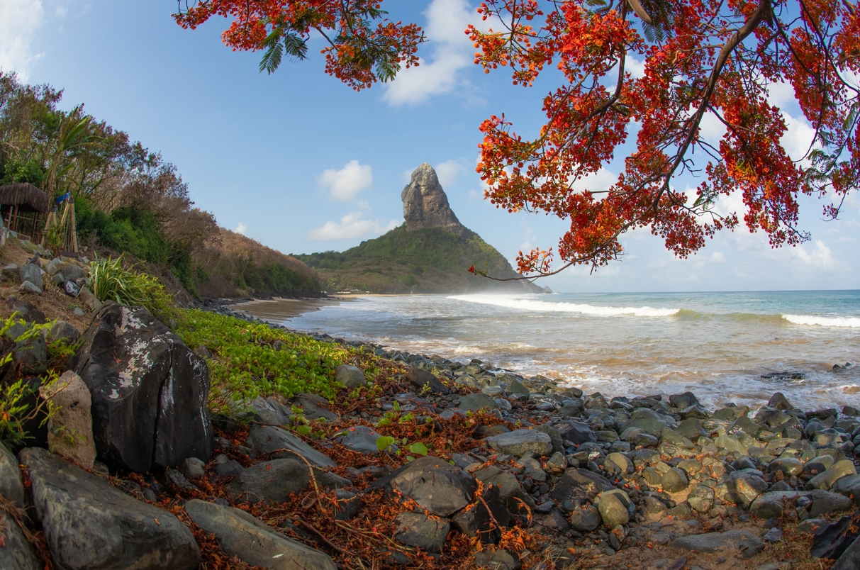 Fernando de Noronha é destino paradísiaco para passar o Natal e Ano Novo em família