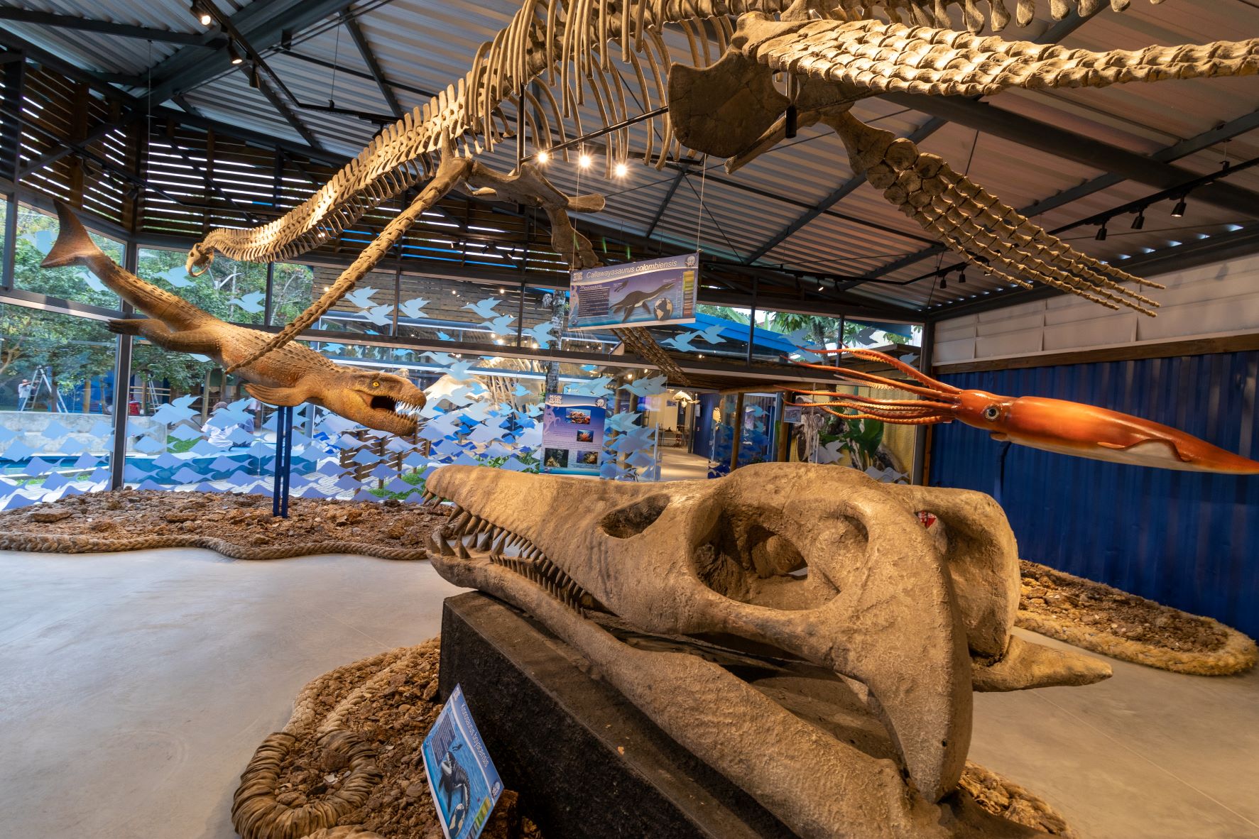 Museu da Vida Marinha é opção de atração turística durante temporada de verão no Litoral Norte de São Paulo