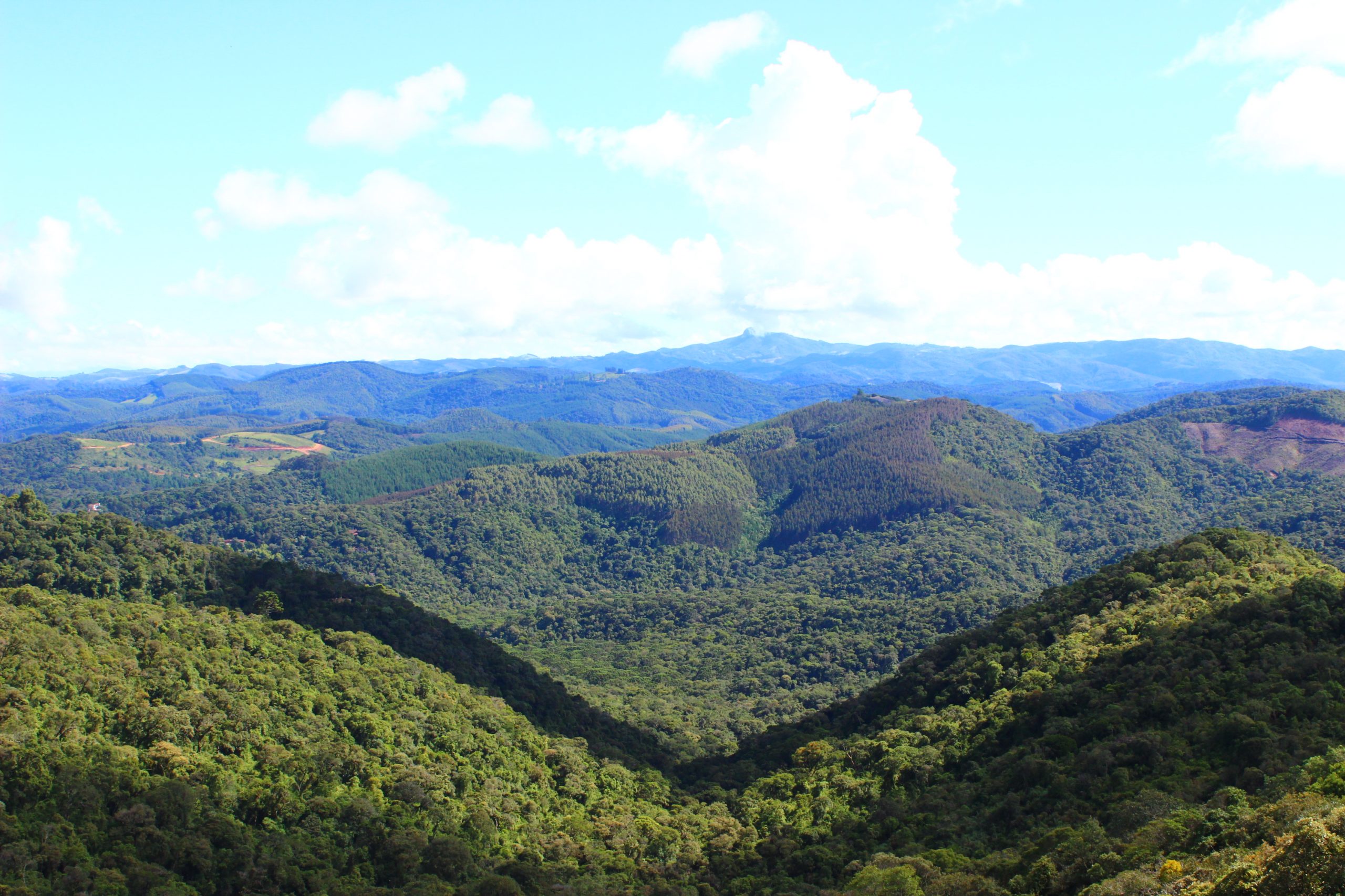 5 dicas para curtir um verão refrescante em Monte Verde (MG)