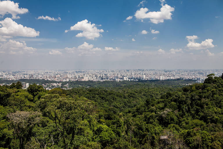 Parque Floresta Cantareira tem programação especial durante as férias de janeiro