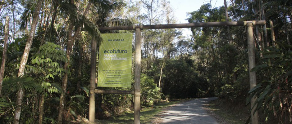 Instituto Ecofuturo celebra aniversário reforçando seu compromisso com a conservação