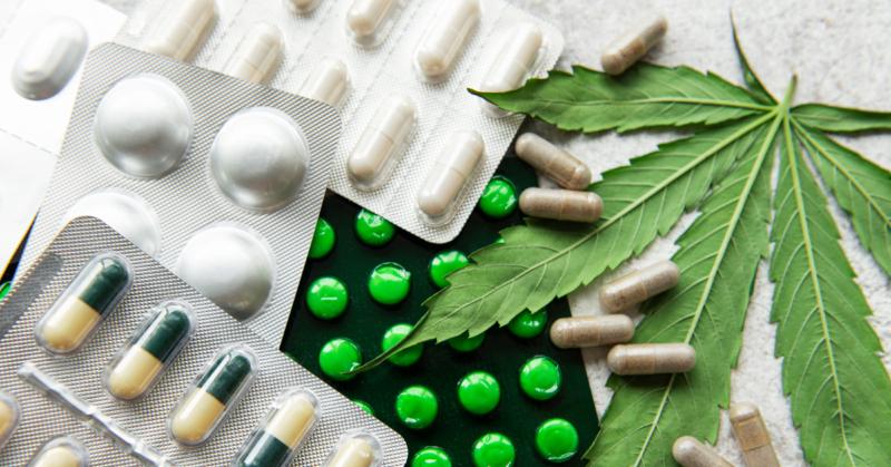 Lei paulista que autoriza o fornecimento gratuito de medicamentos à base de cannabidiol é de grande importância, avalia especialista