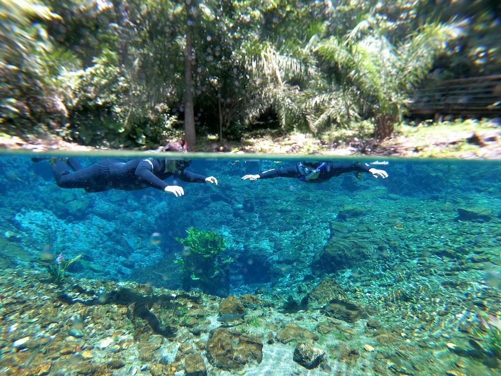 Bonito: proteção ambiental na Nascente Azul garante águas cristalinas em períodos de chuva