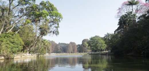 Parques Horto Florestal e Cantareira com visitas guiadas GRATUITAS para comemorar o Dia Mundial da Água