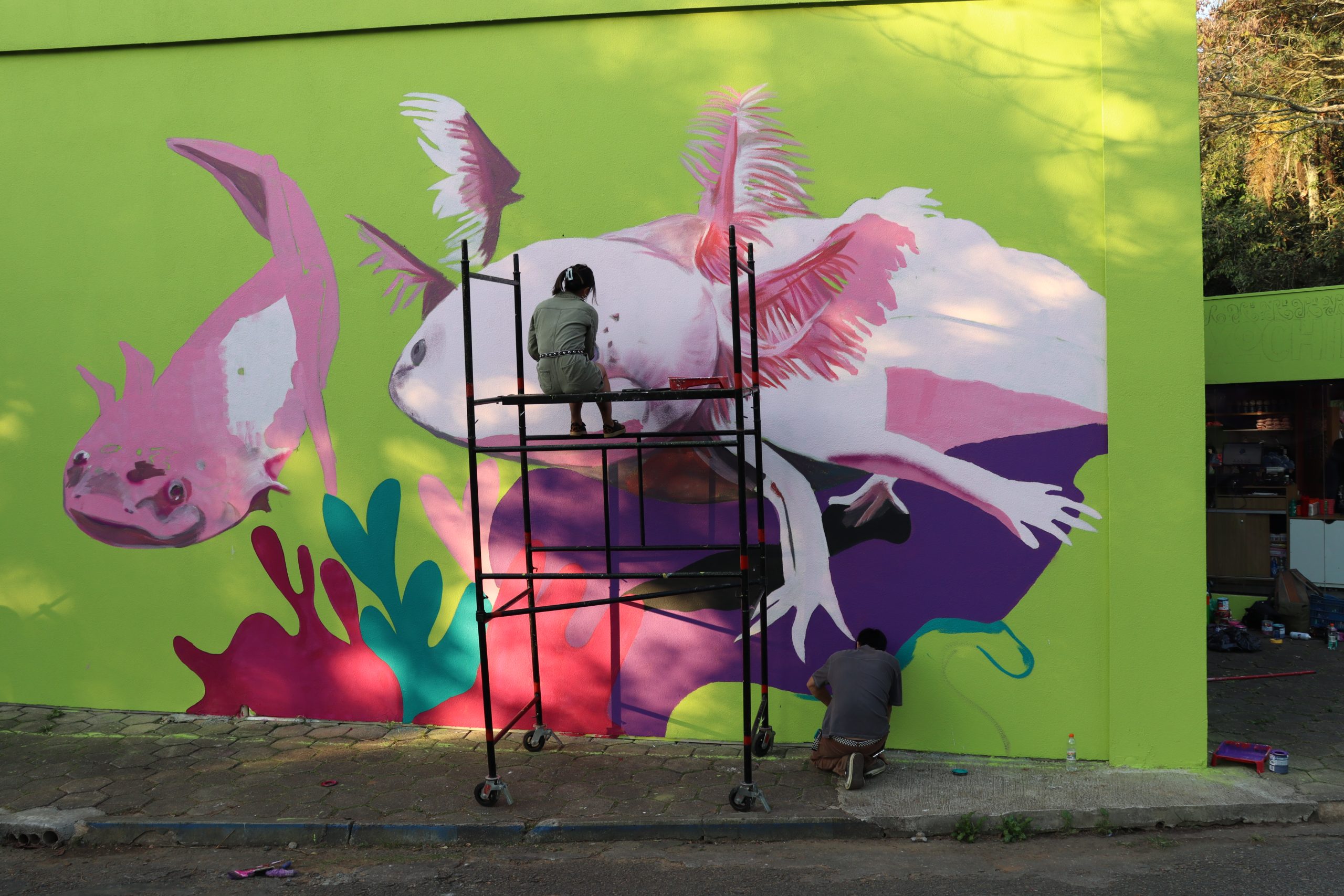 Zoológico de São Paulo ganha pinturas da artista Carol Wan