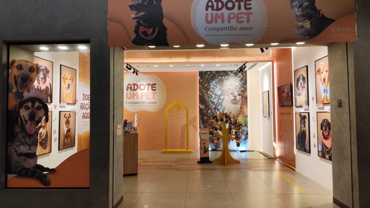 Feira de adoção na Avenida Paulista reúne cães e gatos em busca de um novo lar